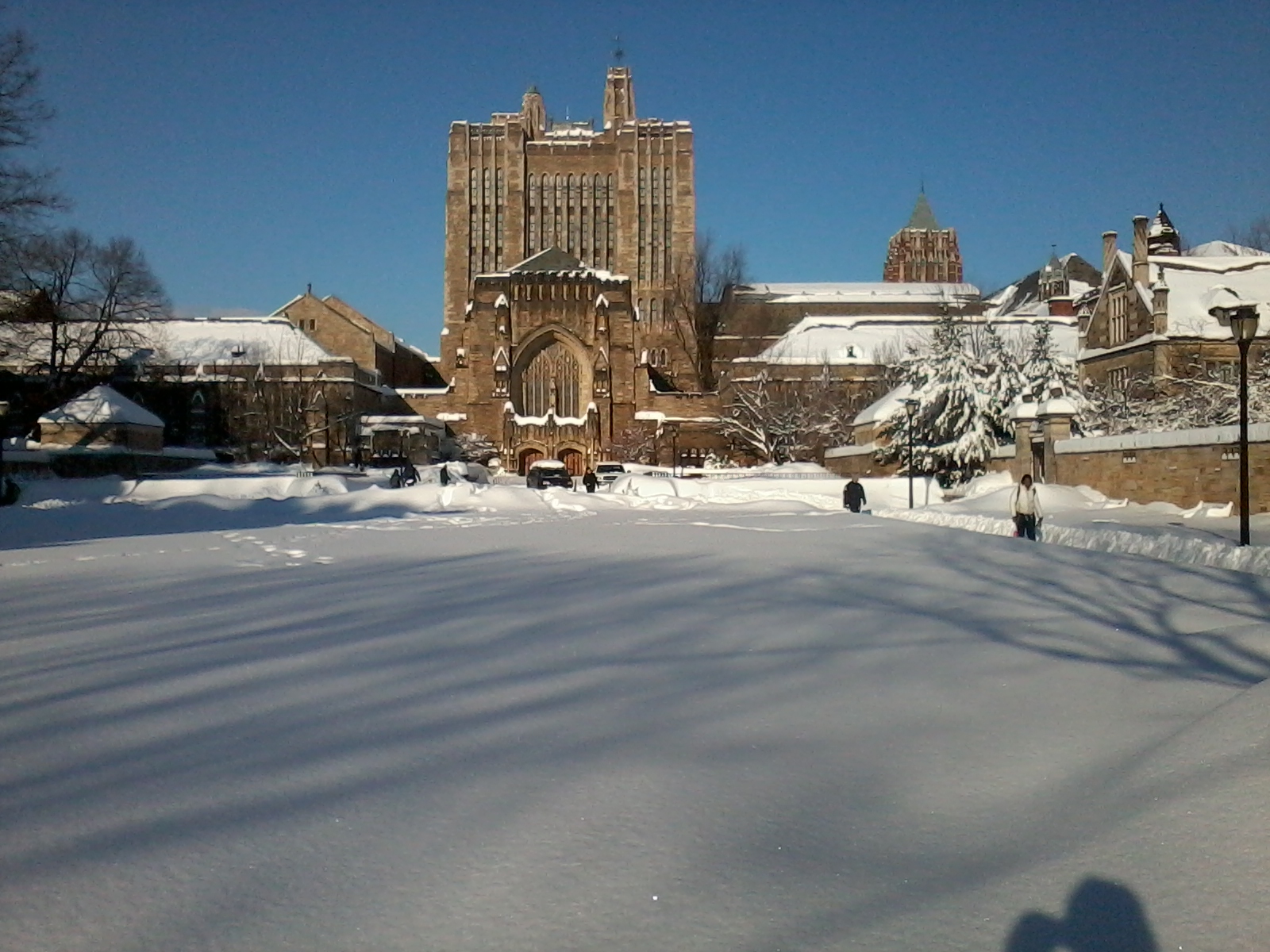 Sterling Memorial Library